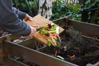 Le Compost Devient Obligatoire Pour Tous D S La Loi Pinel